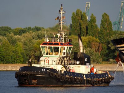 Tug 43 - IMO 9602124 - ENI 06105322, Zandvlietsluis, Port of Antwerp pic8