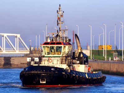 Tug 41 (tugboat, 2012) - IMO 9602100 - ENI 06105320, Berendrechtsluis, Port of Antwerp pic5