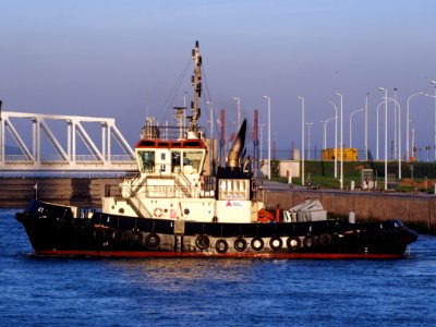 Tug 41 (tugboat, 2012) - IMO 9602100 - ENI 06105320, Berendrechtsluis, Port of Antwerp pic3