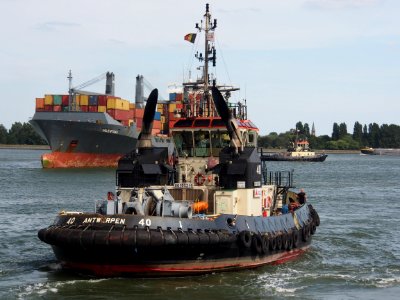 Tug 40 - IMO 9602095, Berendrechtsluis, pic3