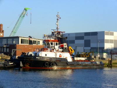 Tugboat Wulf 7