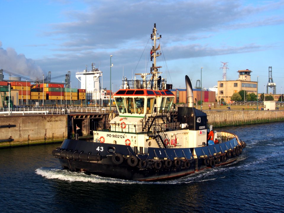 Tug 43 - IMO 9602124 - ENI 06105322, Zandvlietsluis, Port of Antwerp pic4
