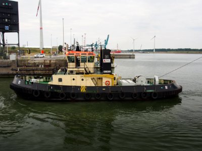 Tug 91 - ENI 06504223, Zandvlietsluis, Port of Antwerp pic6