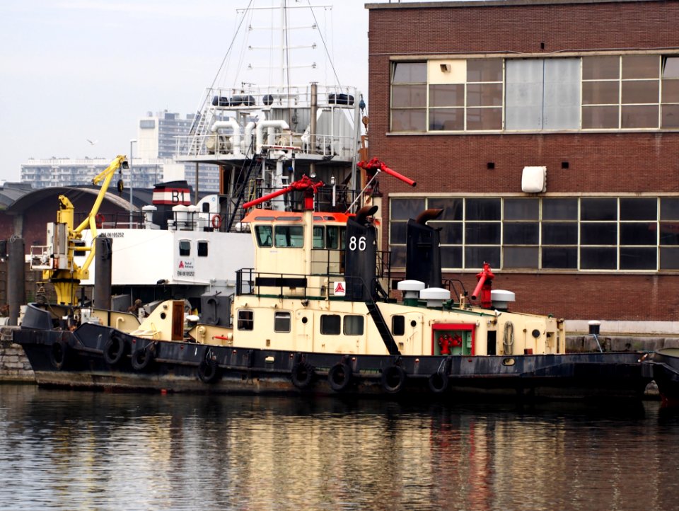 Tug 86 - ENI 0655360, Kattendijkdok, Port of Antwerp, pic2