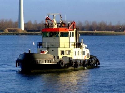 Tug 81 IMO 3014656, Port of Antwerp 19Dec2008 pic1