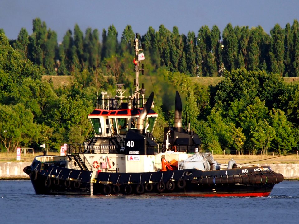 Tug 40 - IMO 9602095, Port of Antwerp pic2