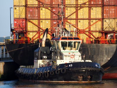 Tug 43 - IMO 9602124 - ENI 06105322, Zandvlietsluis, Port of Antwerp pic2