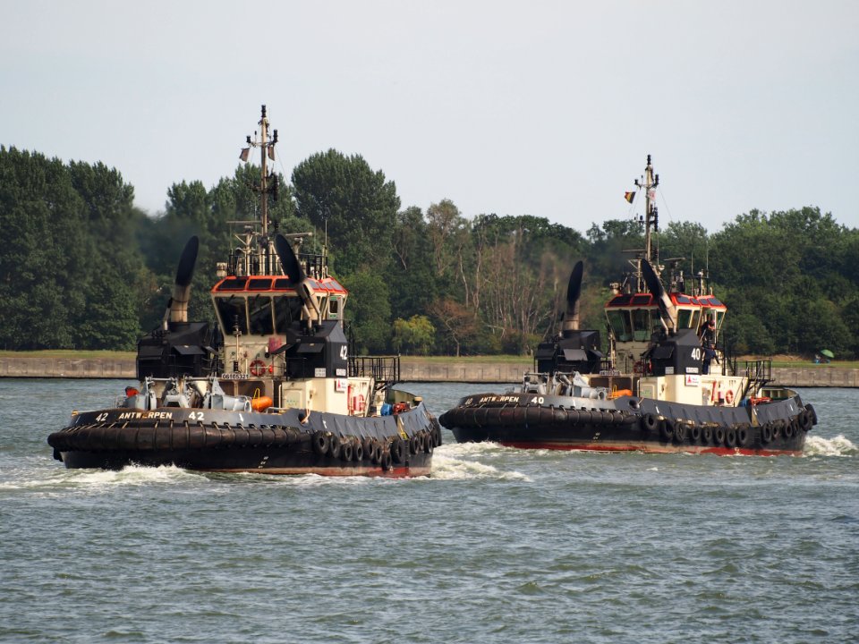 Tug 40 - IMO 9602095 & Tug 42 - IMO 9602112, Berendrechtsluis, pic4