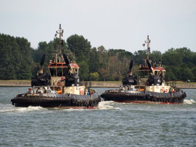 Tug 40 - IMO 9602095 & Tug 42 - IMO 9602112, Berendrechtsluis, pic4