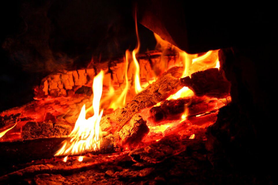Burn firewood fever