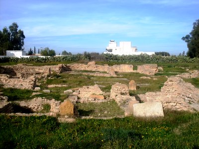 Tunisie Uppenna 3