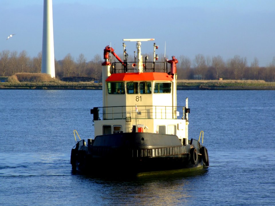 Tug 81 IMO 3014656, Port of Antwerp 19Dec2008 pic2