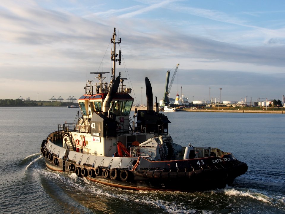 Tug 43 - IMO 9602124 - ENI 06105322, Zandvlietsluis, Port of Antwerp pic7