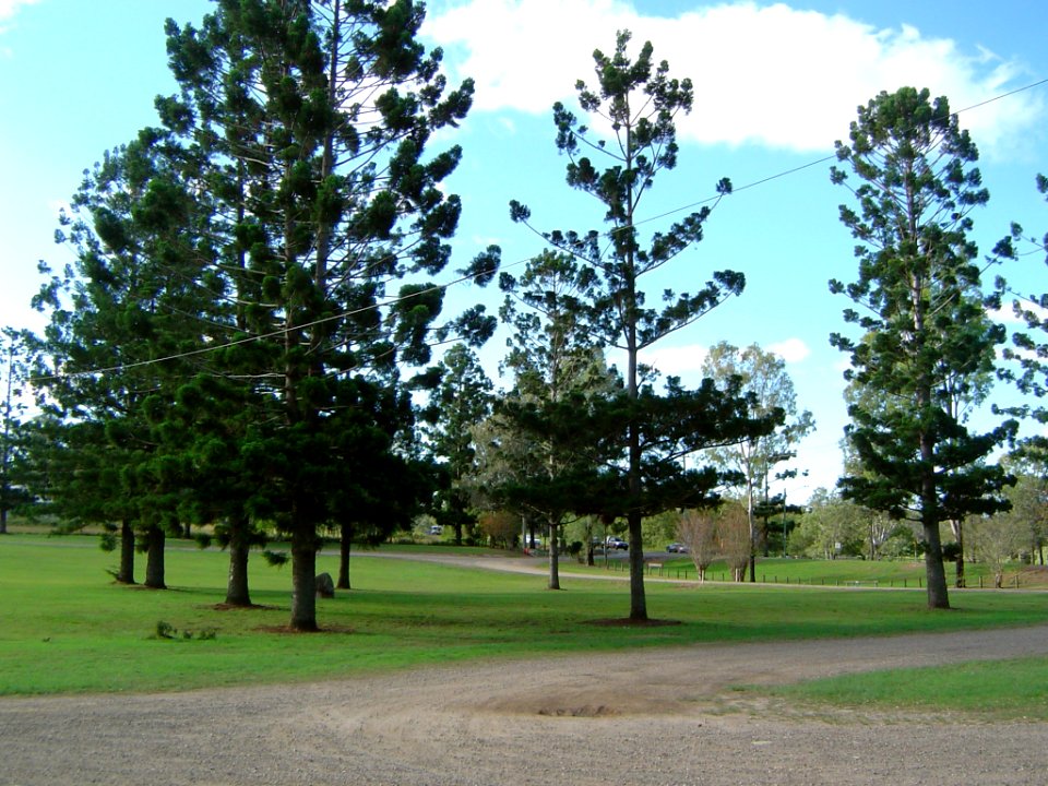 Tully Memorial Park, North Maclean, Queensland
