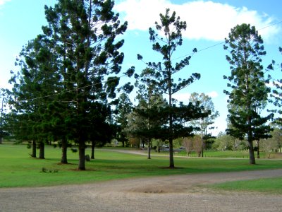 Tully Memorial Park, North Maclean, Queensland