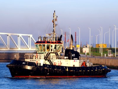 Tug 41 (tugboat, 2012) - IMO 9602100 - ENI 06105320, Berendrechtsluis, Port of Antwerp pic4