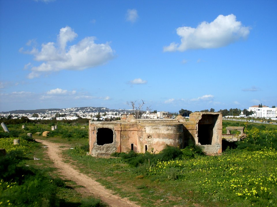 Tunisie Basilique Majorum 3