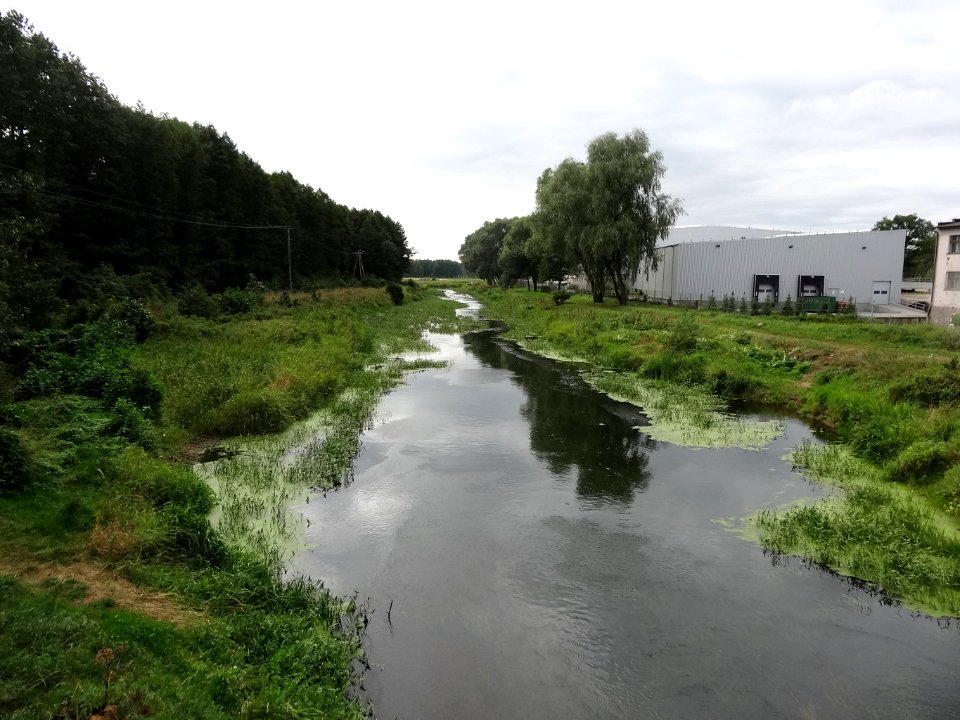 Tur rzeka Notec 5 08-2014