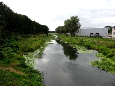 Tur rzeka Notec 5 08-2014