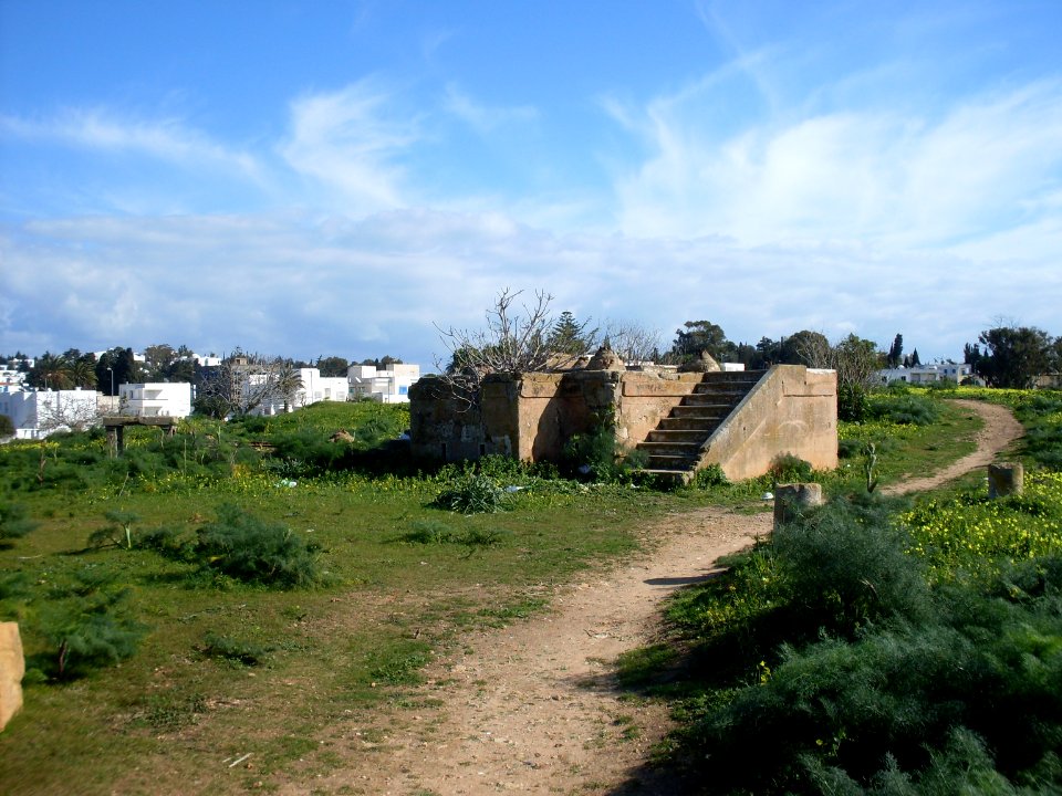 Tunisie Basilique Majorum 2