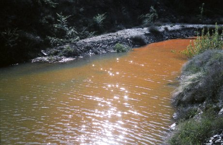 TurbiaArroyoAlmiruete1982