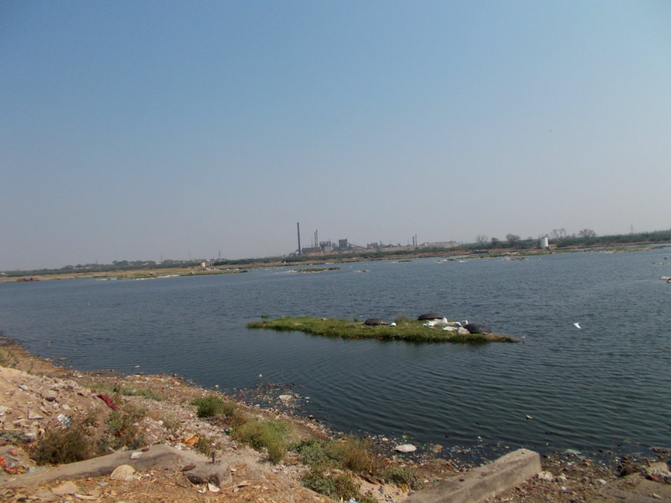 Tungabhadra River from Kurnool City