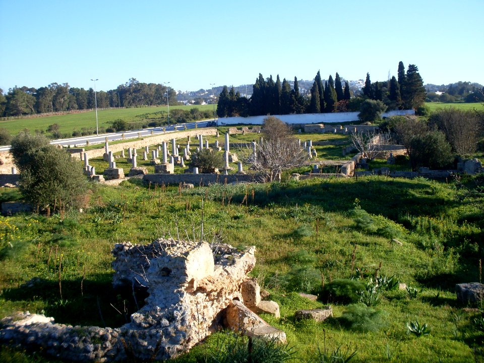 Tunisie Basilique Damous el Karita 5
