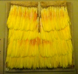 Tunic, probably Chan Chan, amazona parrot feathers treated with tapirage - Chimu objects in the American Museum of Natural History - DSC061232 photo