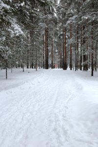 Tuiranpuisto Oulu 20160325 01