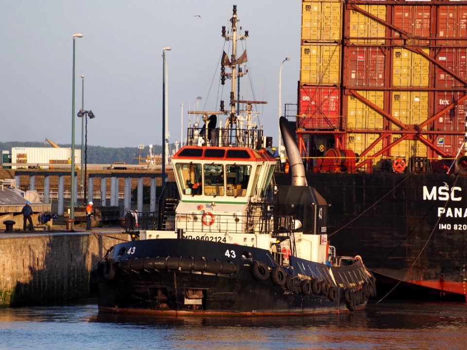 Tug 43 - IMO 9602124 - ENI 06105322, Zandvlietsluis, Port of Antwerp pic1