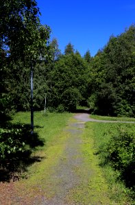 Tuiranpuisto Oulu 20180621 01