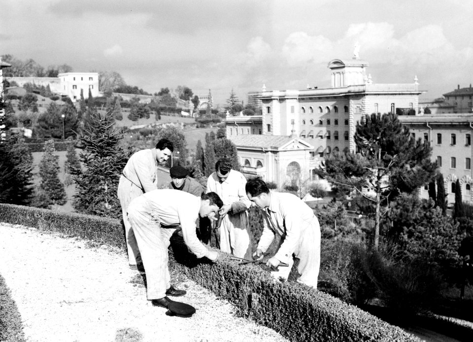 Tuinmannen knippen de heg in de tuin van Vaticaanstad, Bestanddeelnr 191-1263