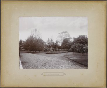 Tuin Hoofdadministratie, Bestanddeelnr 859 04