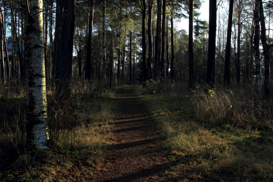 Tuiranpuisto Oulu 20151101
