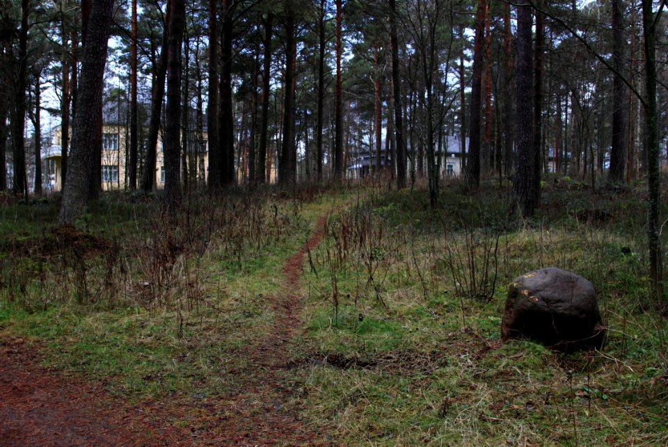 Tuiranpuisto Oulu 20151031