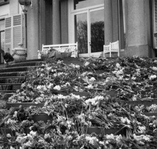 Tuinfeest op Soestdijk vanwege de 40ste verjaardag van koningin Juliana. Bloemen, Bestanddeelnr 903-3485