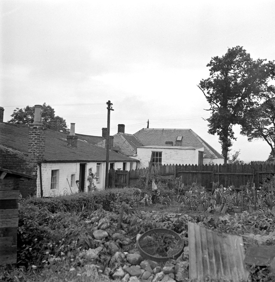 Tuin met groenten en rommel achter een van de huizen in Gretna Green, Bestanddeelnr 252-0161