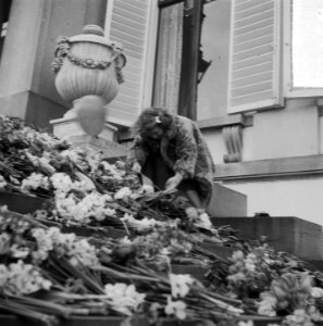 Tuinfeest Paleis Soestdijk t.g.v. Koninginnedag, Bestanddeelnr 903-3461