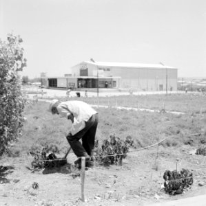 Tuinierende man, op de achtergrond een gebouw, Bestanddeelnr 255-3085