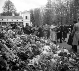 Tuinfeest op Soestdijk vanwege de 40ste verjaardag van koningin Juliana. Bloeme…, Bestanddeelnr 903-3478