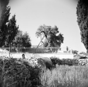 Tuin met de Eik van Abraham, Bestanddeelnr 255-5523