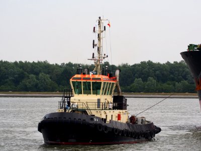 Tug 22 - IMO 9247340, Zandvlietsluis, Port of Antwerp, pic3