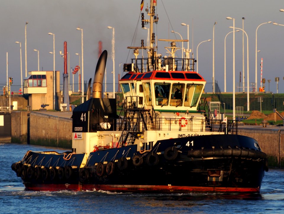 Tug 41 (tugboat, 2012) - IMO 9602100 - ENI 06105320, Berendrechtsluis, Port of Antwerp pic7