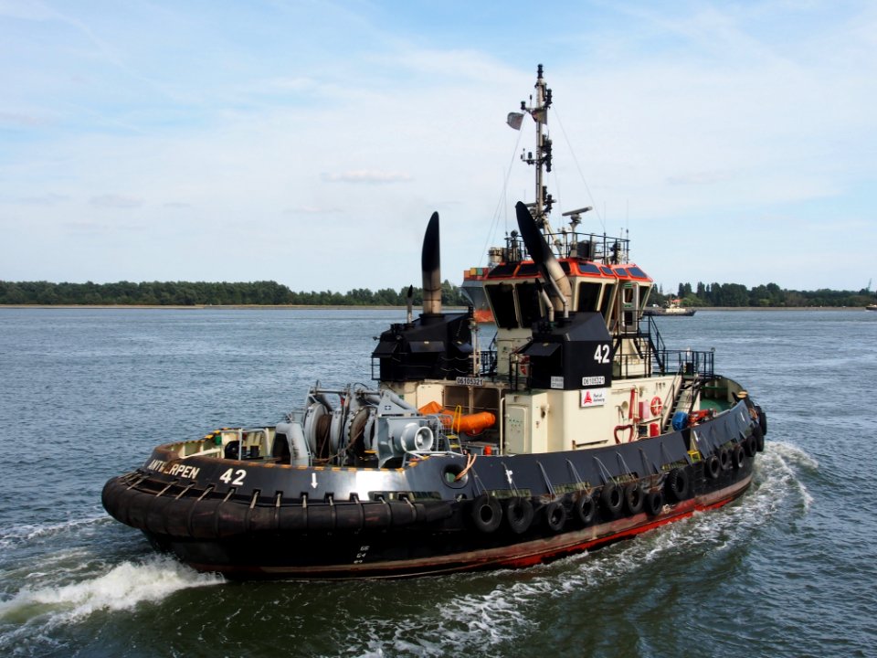Tug 42 - IMO 9602112, Berendrechtsluis, pic1