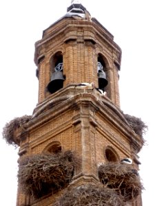 Tudela - Iglesia de San Jorge el Real 4