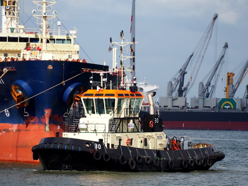 Tug 30 - ENI 06105141, Port of Antwerp pic13