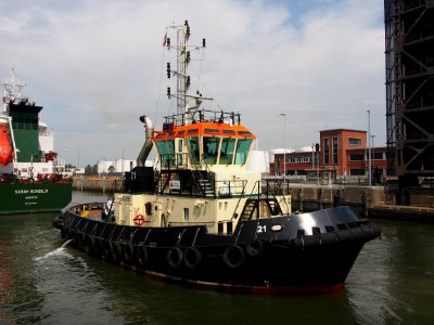 Tug 21 - IMO 8257635 - ENI 06503824, Boudewijnsluis, Port of Antwerp pic4