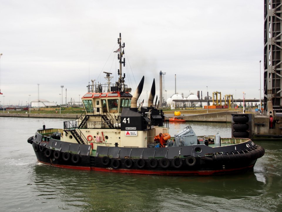 Tug 41 - ENI 06105320 - IMO 9602100, Port of Antwerp pic2
