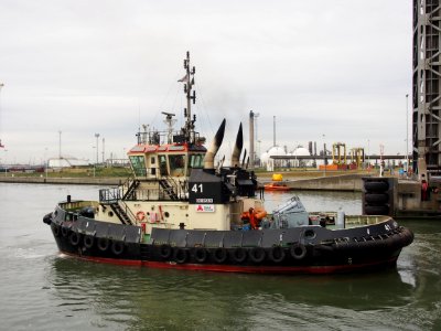 Tug 41 - ENI 06105320 - IMO 9602100, Port of Antwerp pic2
