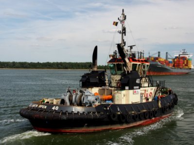Tug 40 - IMO 9602095, Berendrechtsluis, pic2